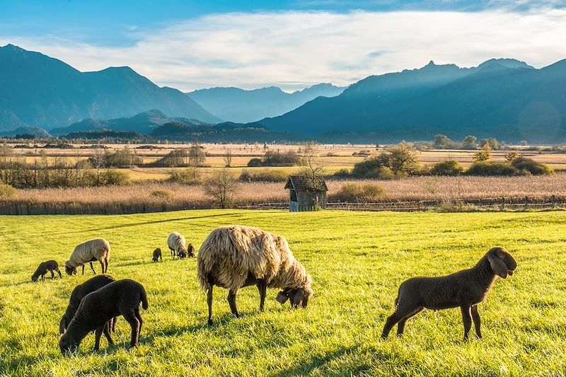 Murnauer Moos - Bavière - Allemagne