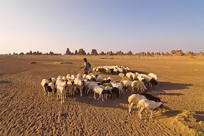 voyage Djibouti