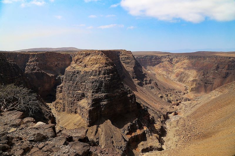 Vallée du Grand Rift - Djibouti