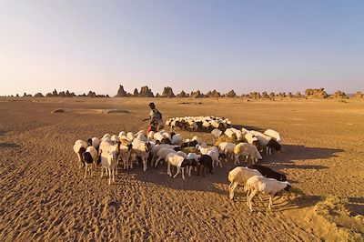 Djibouti, les essentiels ! 4
