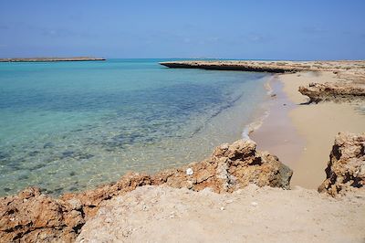 voyage Djibouti