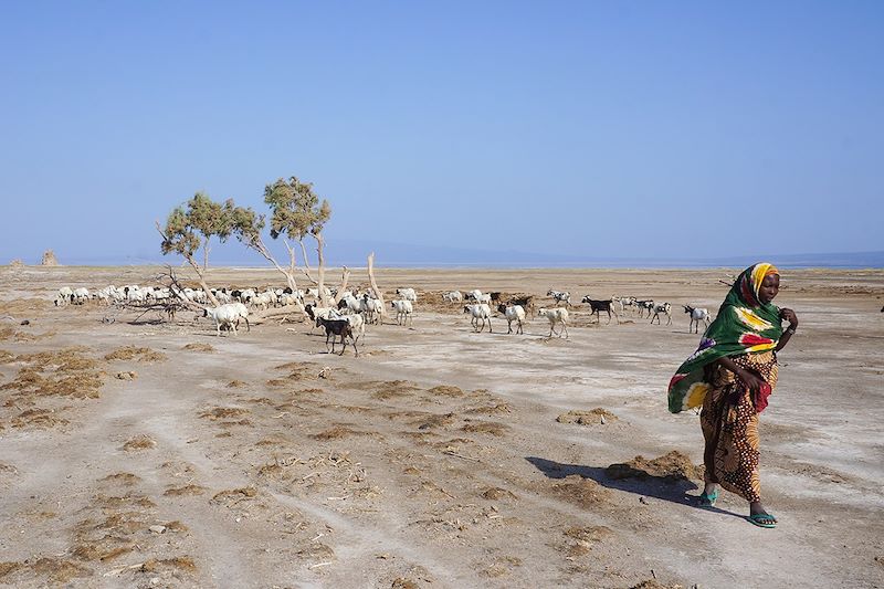 Lac Abbe - Djibouti