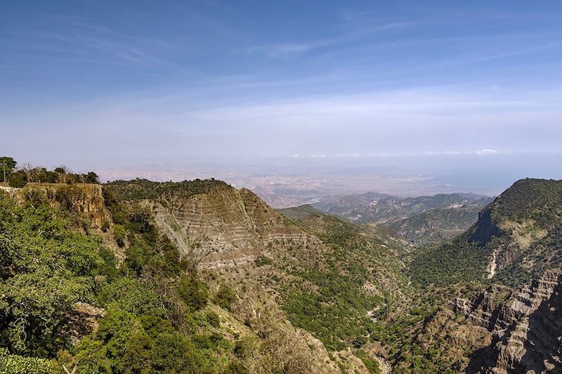 Parc national de la Forêt de Day - Djibouti