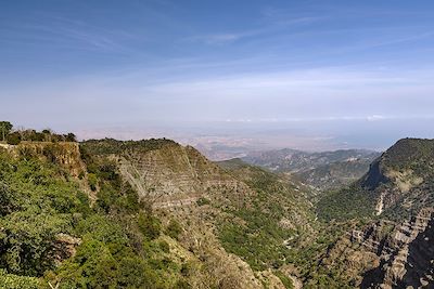 Trek chamelier dans le désert djiboutien ! 2