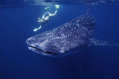 voyage Djibouti