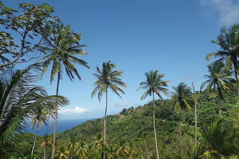 De Penville à Capuchin - Waitukubuli National Trail - La Dominique