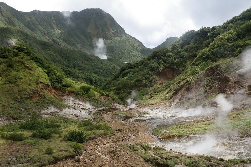 Parc national de Morne Trois Pitons - La Dominique