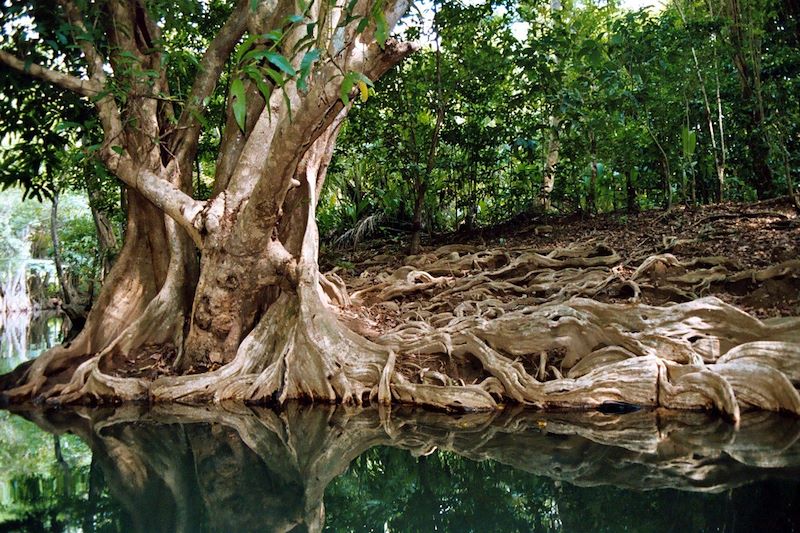 La Dominique entre eaux douces et eaux salées