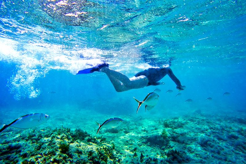 Snorkeling en République Dominicaine