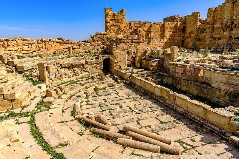 Amphithéâtre de M'Daourouch - Souk Ahras - Algérie