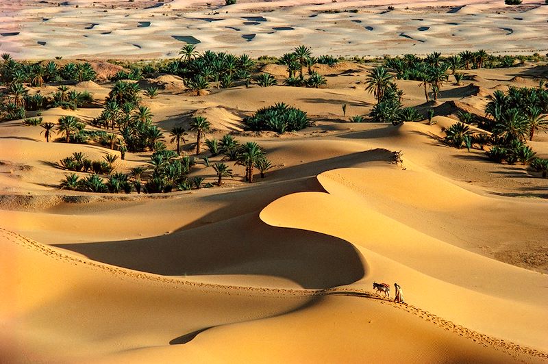 Circuit en Algérie sur la route des oasis avec chauffeur, des palmeraies du Grand Erg occidental à Ghardaïa par la Transsaharienne