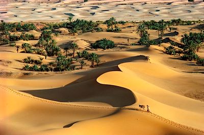 La route des oasis