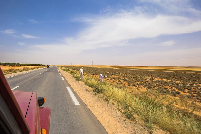 Route vers le Sahara - Algérie