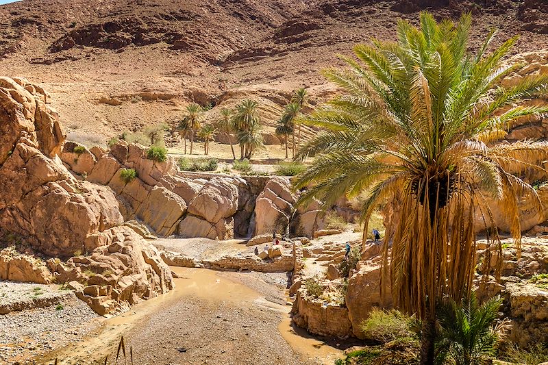 Cascade du moulin Ferrero - Bou Saâda - Algérie