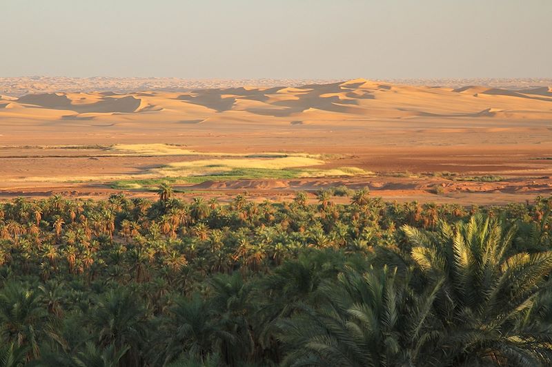 Palmeraie à Timimoun - Gourara - Algérie