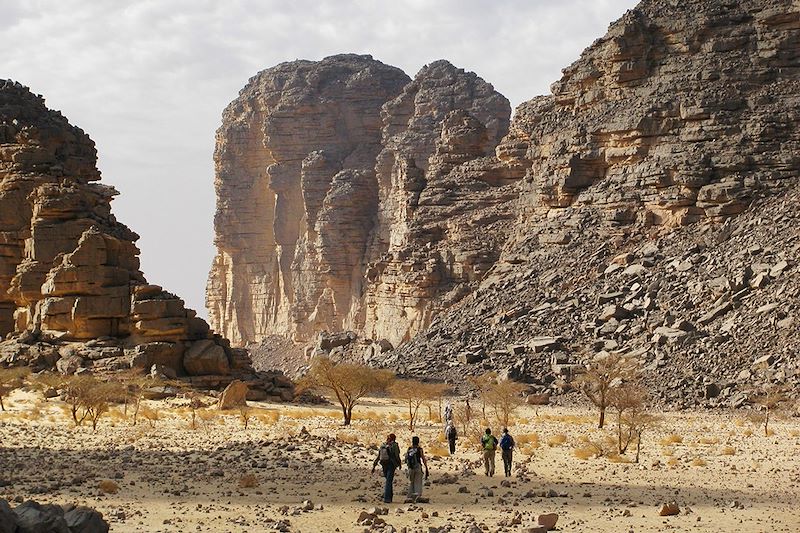 Tassili n'Ajjer - Algérie