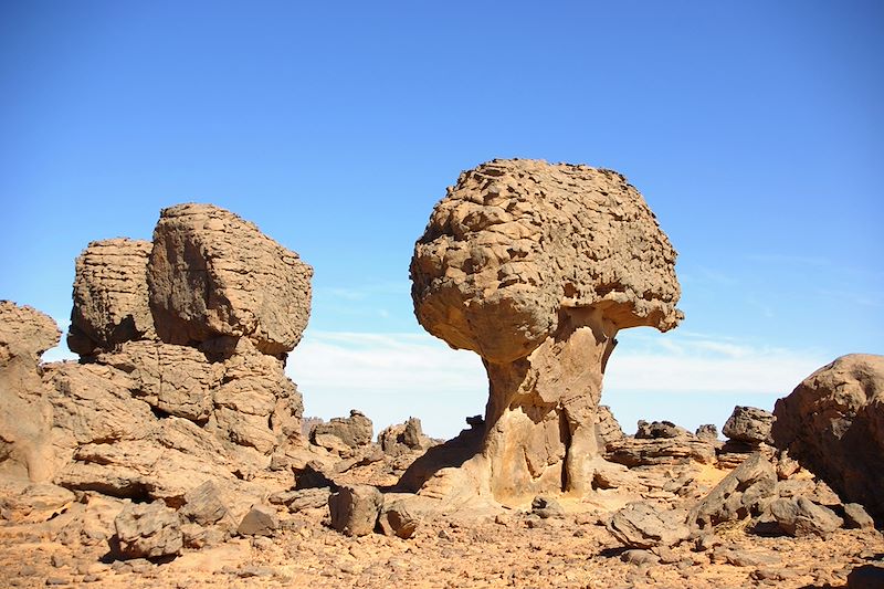 In Aramas - Parc national du tassili n'Ajjers - Algérie