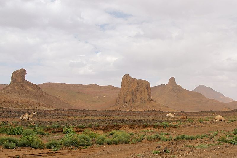 Rando au cœur du Tassili Hoggar 