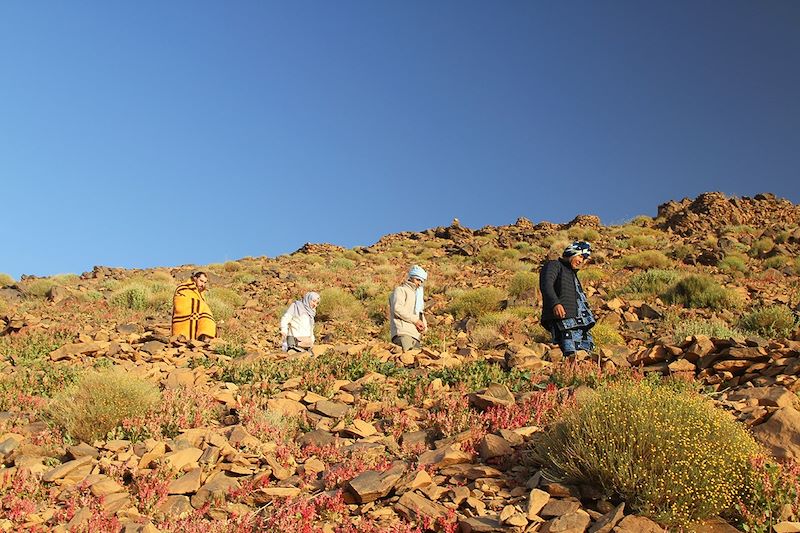 Rando au cœur du Tassili Hoggar 