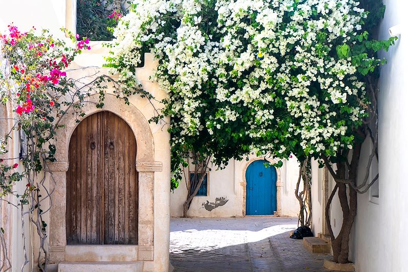 Architecture sur l'île de Djerba - Tunisie