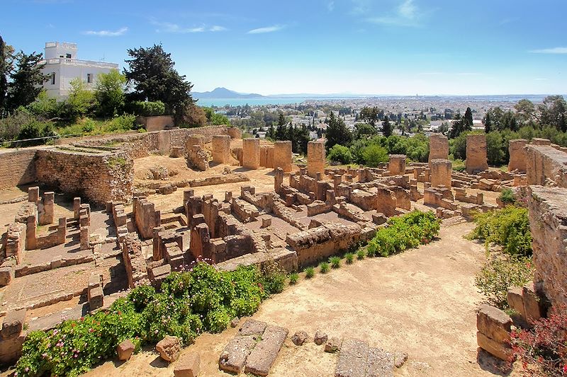 Site archéologique de Carthage - Gouvernorat de Tunis - Tunisie