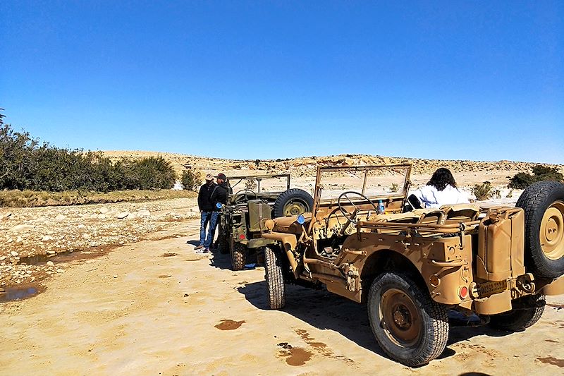 Conduite de jeeps iconiques à travers dunes, palmeraies et cités oubliées d'Algérie, une aventure historique et humaine