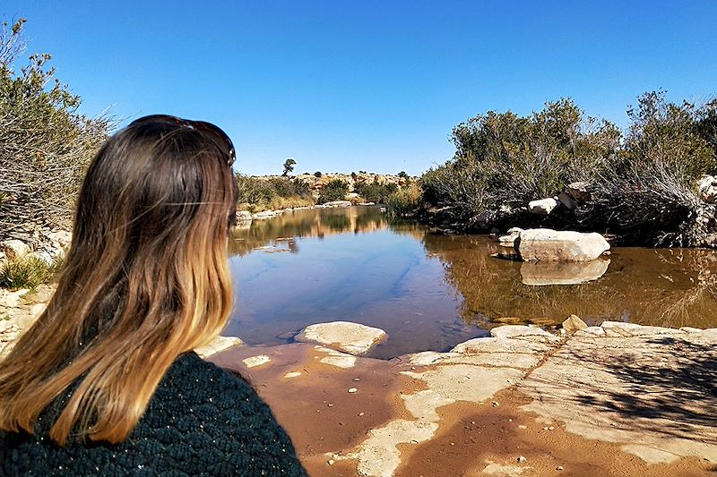 Près d’Ouled-Djellal - Algérie