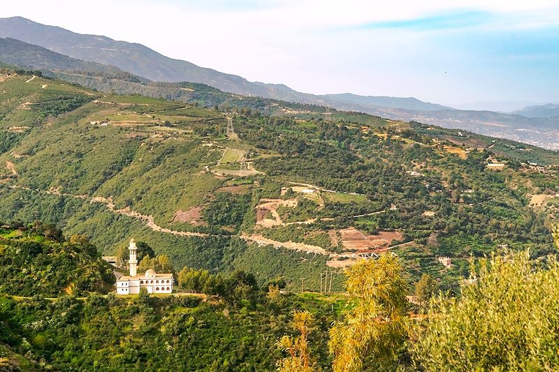 Parc National de Chréa - Blida - Algérie