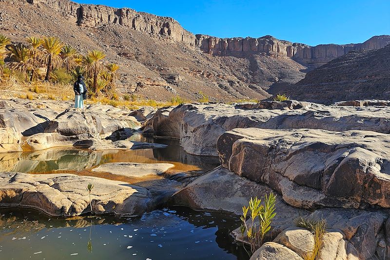 Sahara vivant : dunes, eaux vives et canyons 