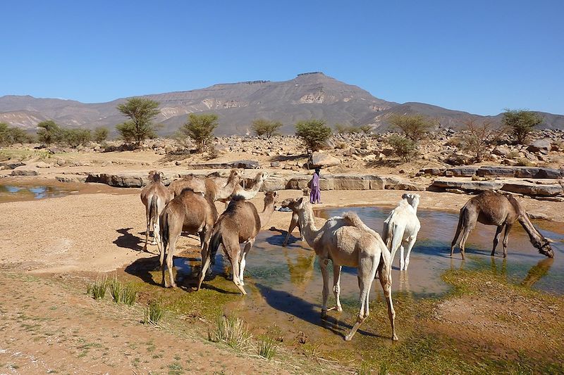 Rando dans le Tassili de l'Immidir