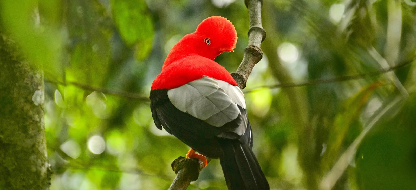 Image Aventura Ecuador