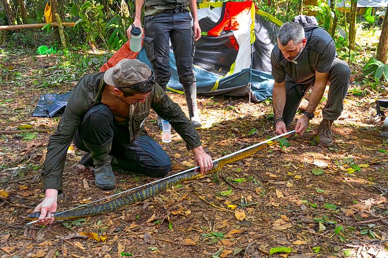 Forêt amazonienne - Équateur