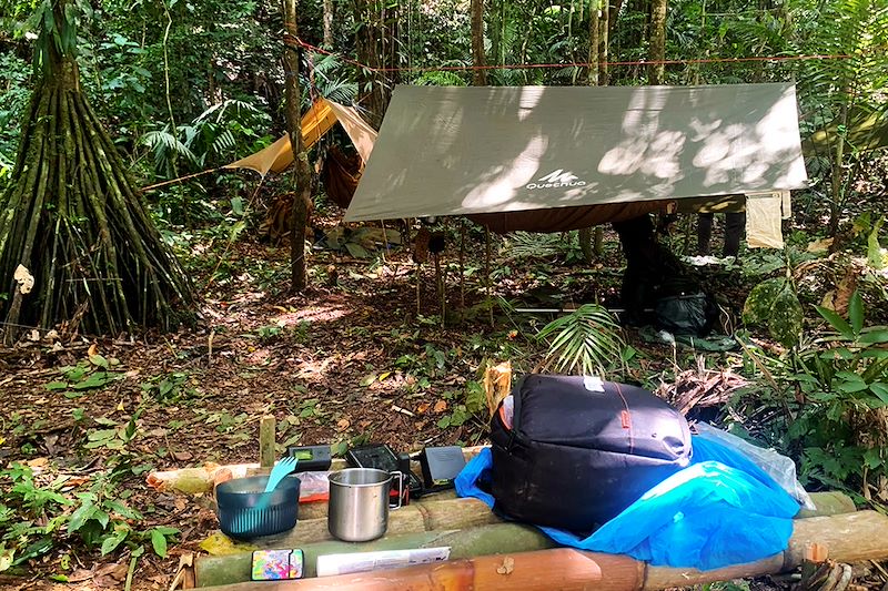Forêt amazonienne - Équateur