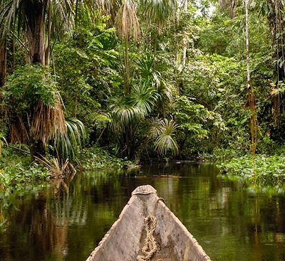  Voyage Amazonie