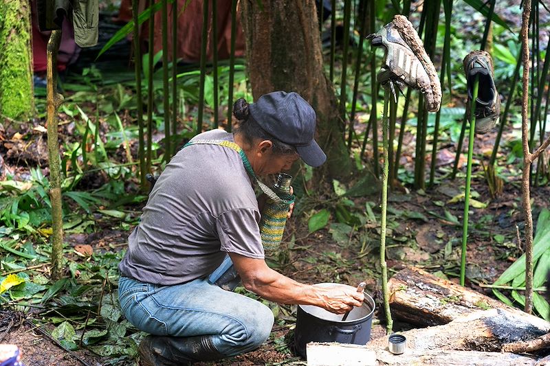 Immersion en forêt amazonienne - Équateur