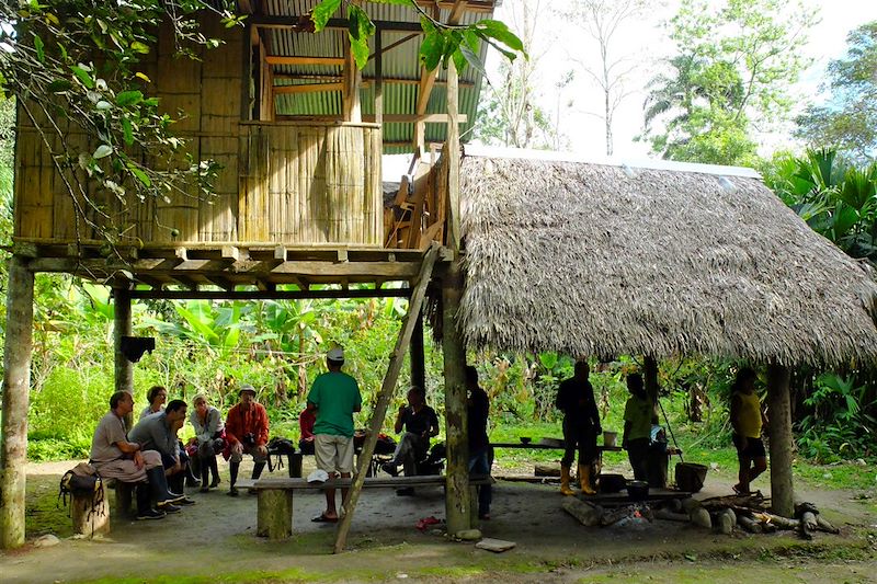 Forêt amazonienne - Equateur