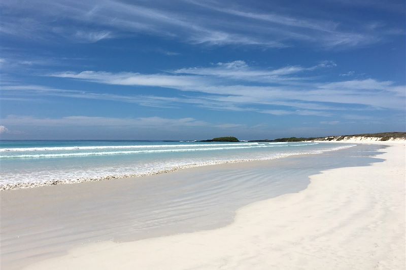 Tortuga Bay sur l'île Santa Cruz - Îles Galápagos - Equateur