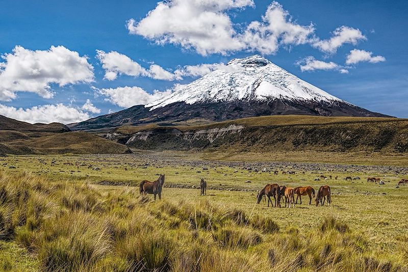 Volcan Cotopaxi - Équateur