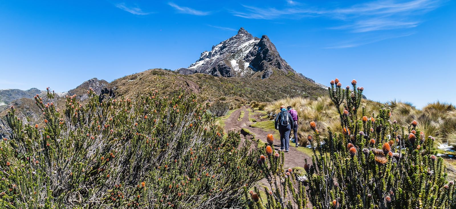 Image Le trek des volcans