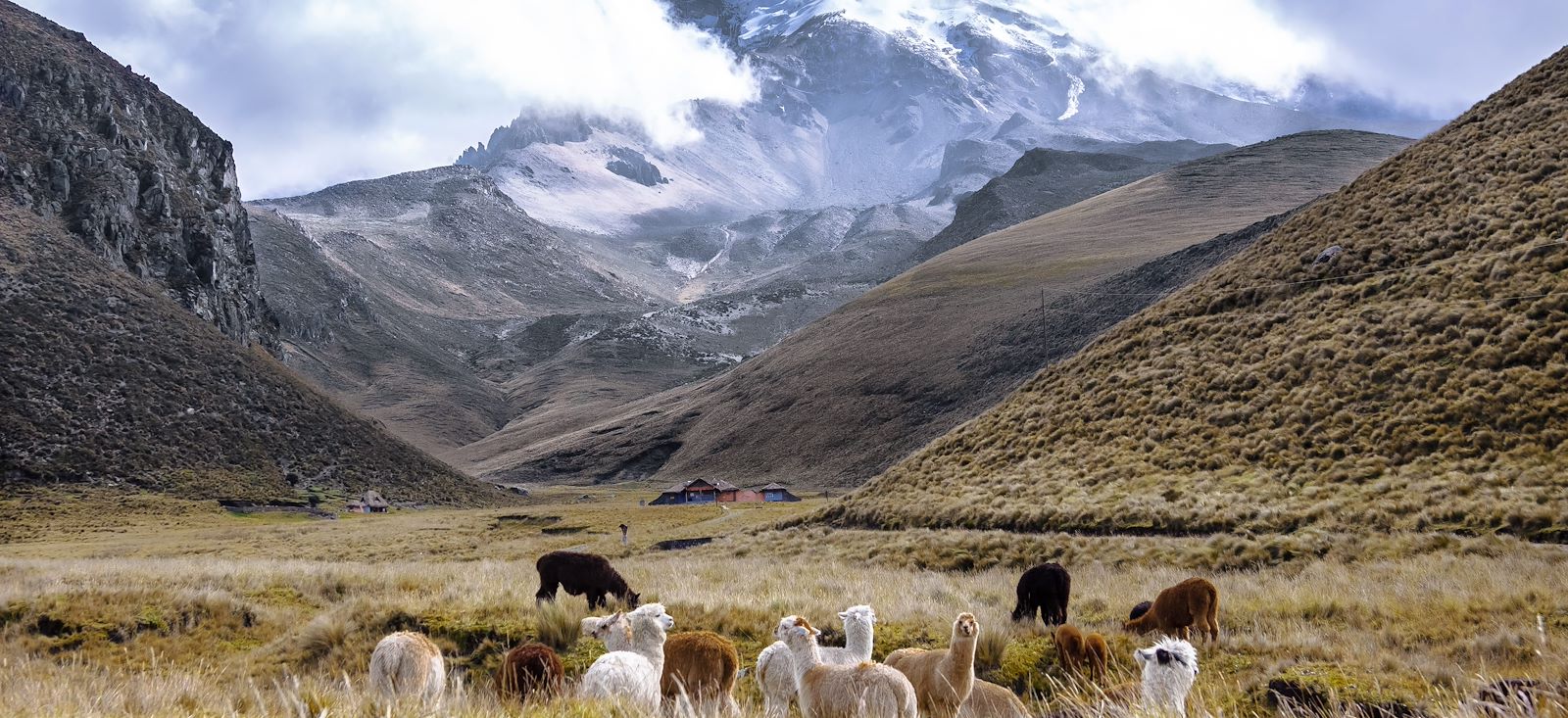 Image Le trek des volcans