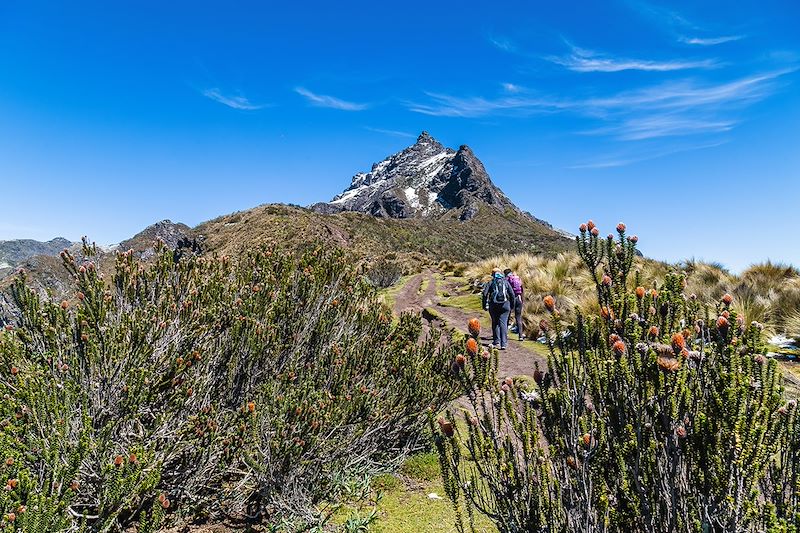 Randonnée en direction du Rucu Pichincha - Équateur