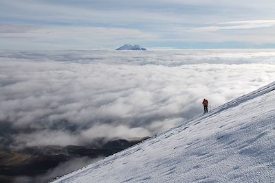 voyage Sur les épaules des géants