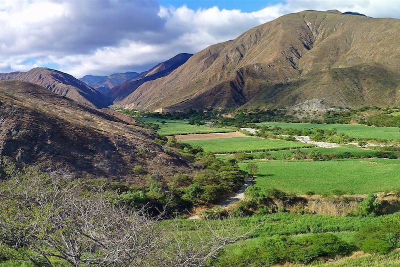 Province de Loja - Équateur