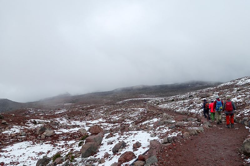 Parc national du volcan Chimborazo - Équateur