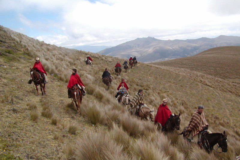 Au pays du lama qui rit