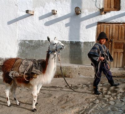 Voyages en famille Équateur