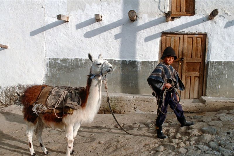 Au pays du lama qui rit