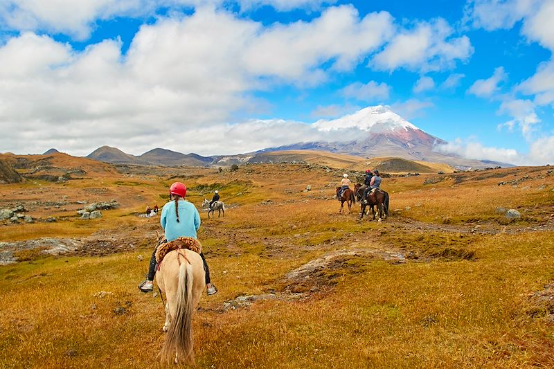 À cheval à Cotopaxi - Cordillère des Andes - Équateur