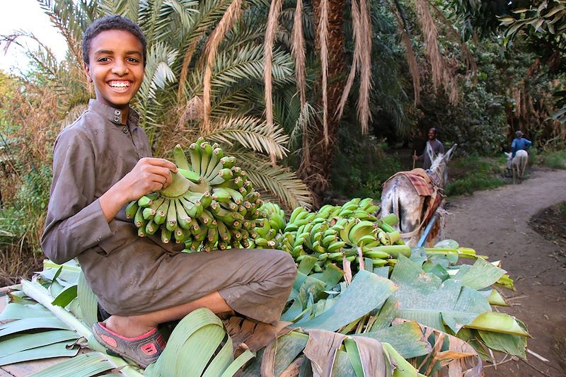 Egypte d'hier et d'aujourd'hui !