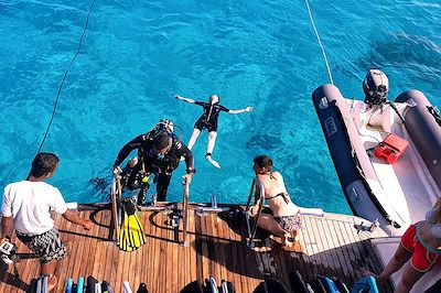 Immersion avec les dauphins en Mer Rouge 3